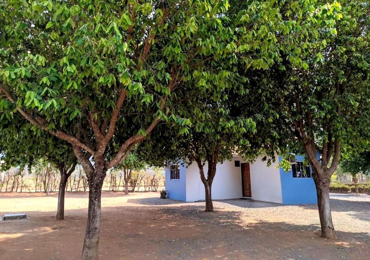 Canto Araras - Bom Jardim Mt